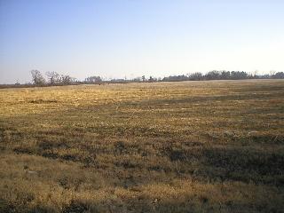 Sewell Road Lot 8