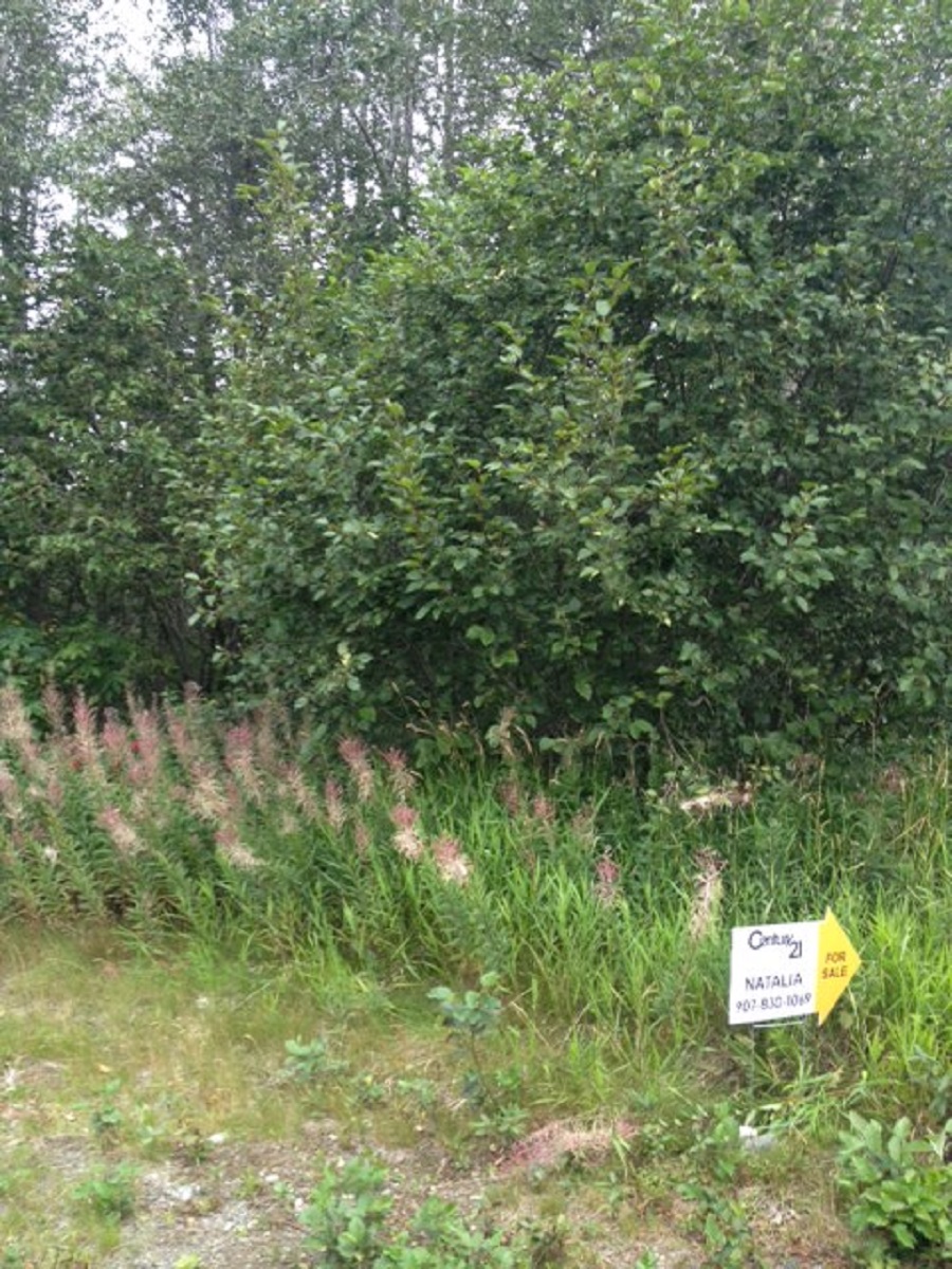 Lot 3 Gary Court