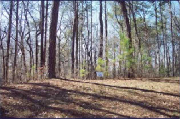 0 Mountain Creek Hollow Drive