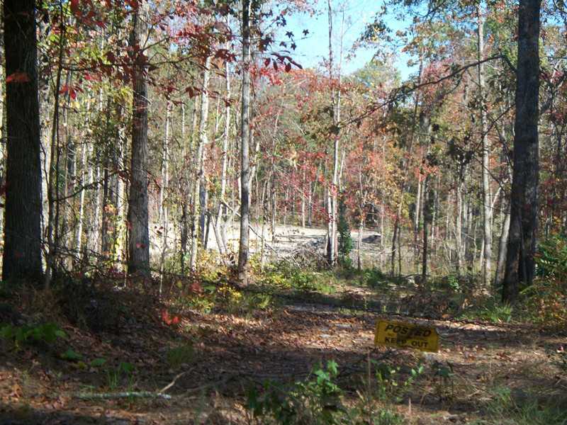0 Ga Highway 85 Tract 13