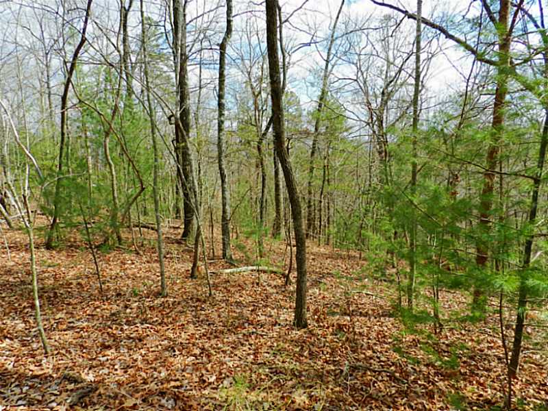 14 Trails End Ridge
