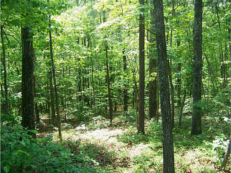 0 Brook Field Court