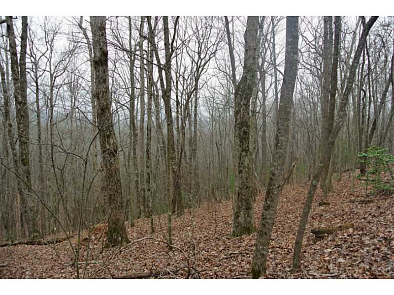 0 N Piney Spur Road