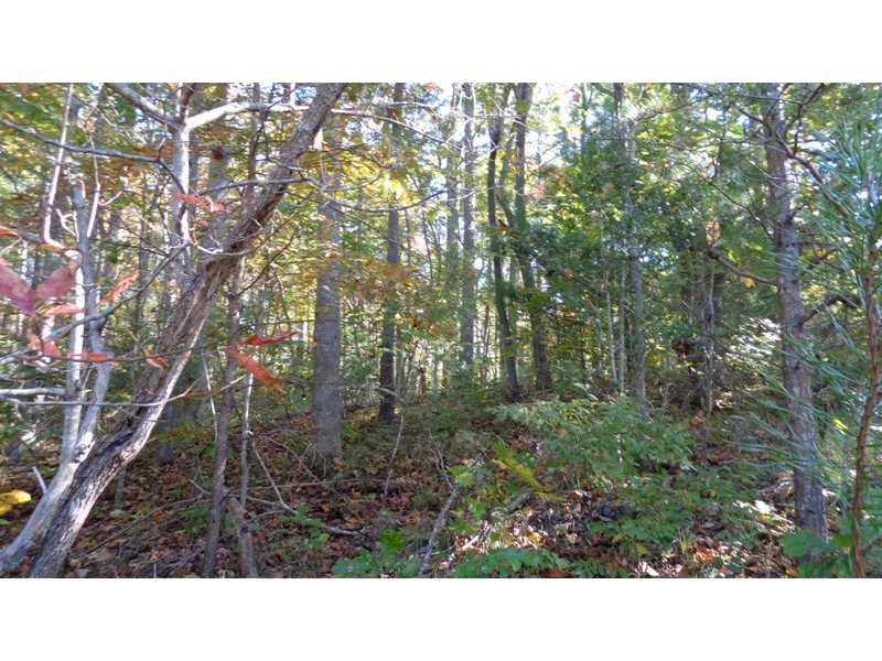 13 Wildwood Parkway