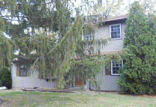 11 College Cir