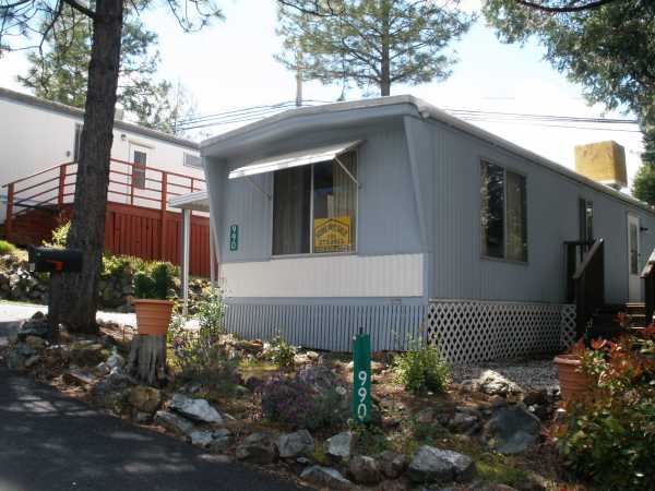 918 Pampas Drive