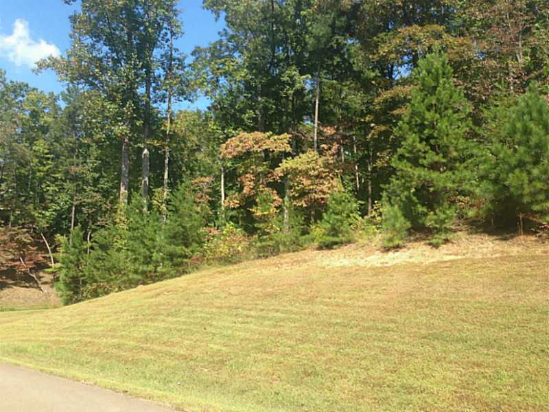4 Mountain Creek Hollow