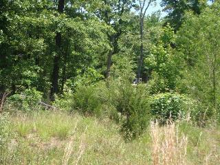 132 Ridgecrest
