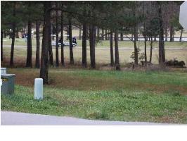 14 Twin Pines