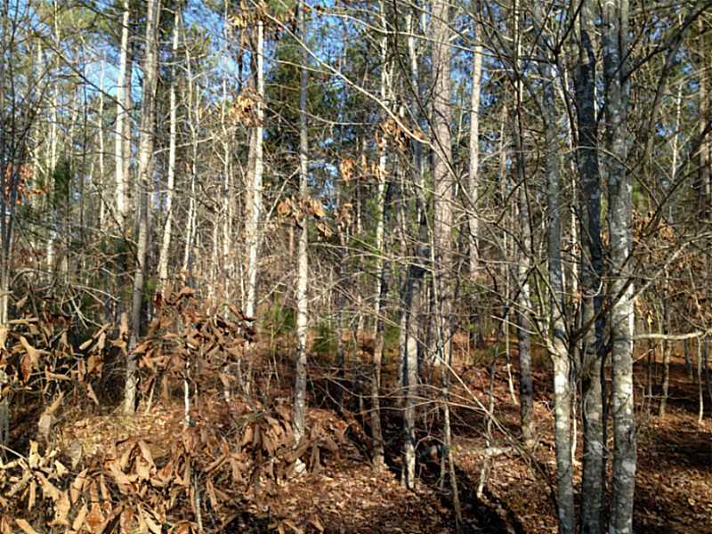 0 Pleasant Hill Road