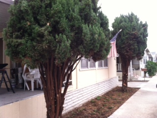 3340 Del Sol Blvd. #83