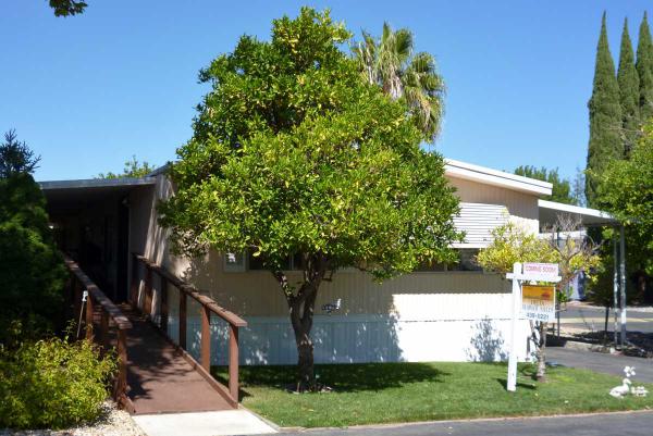 111 Reef Drive