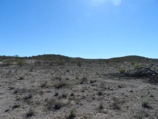 9 & 10 W WICKENBURG Way