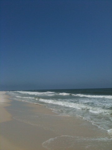 533 West Beach Blvd 406