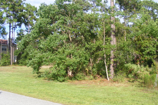 1600 Pine Ridge Drive