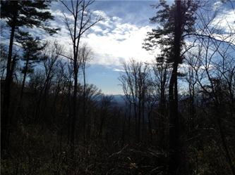Lot 28 Reynolds Mountain (Apn# 9741