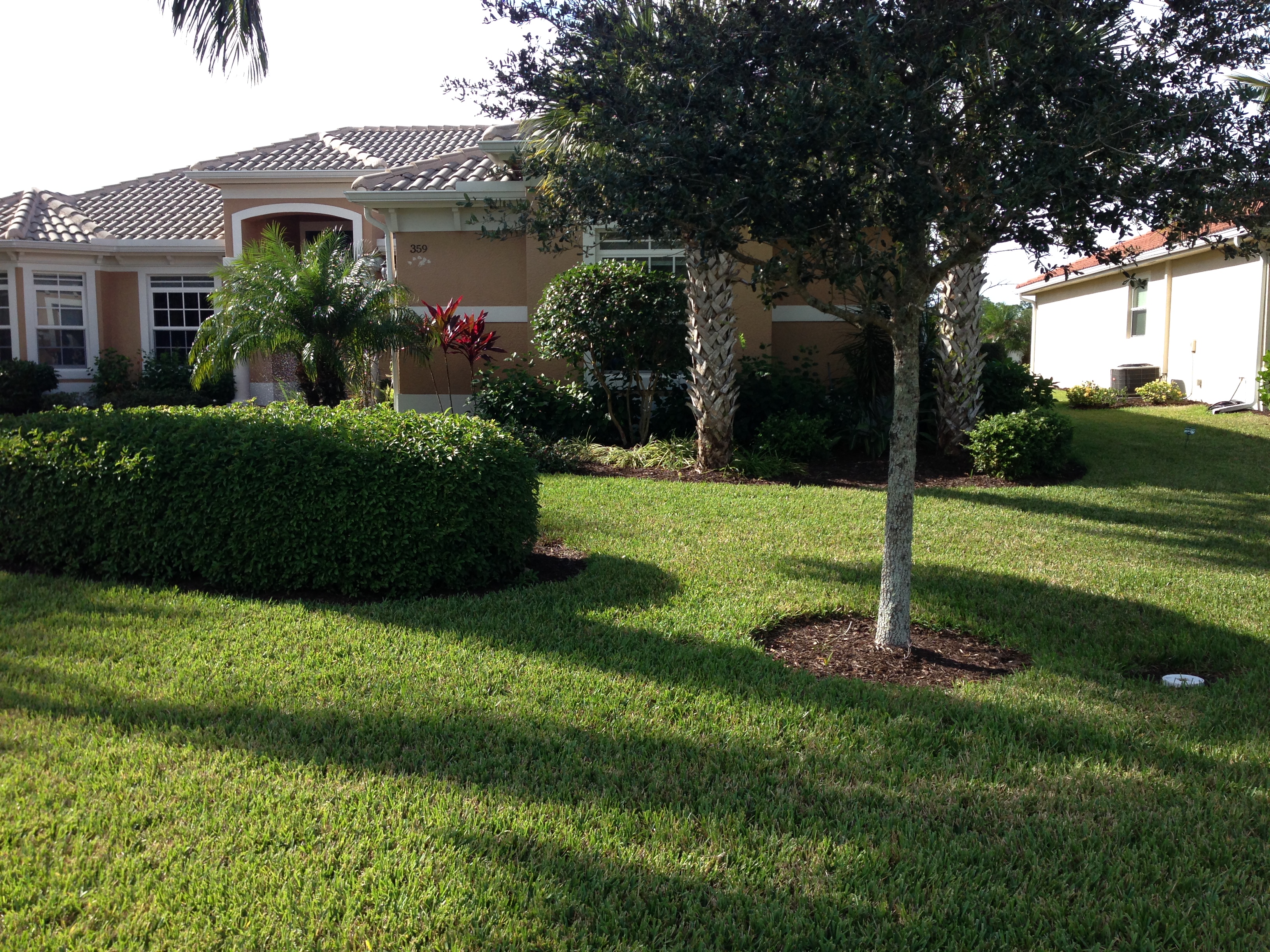 359 Cypress Way W