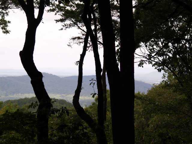 51 Burnt Mountain Road