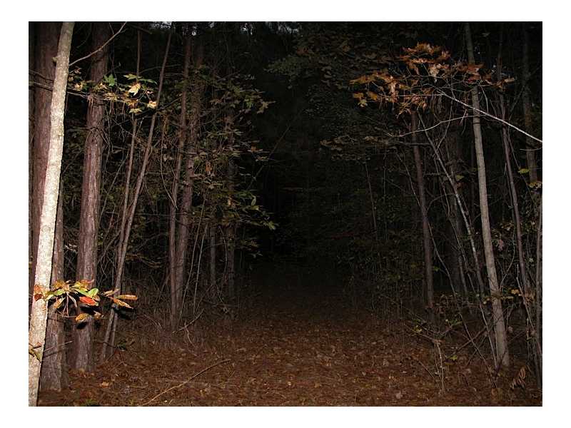 0 Cedar Grove Road