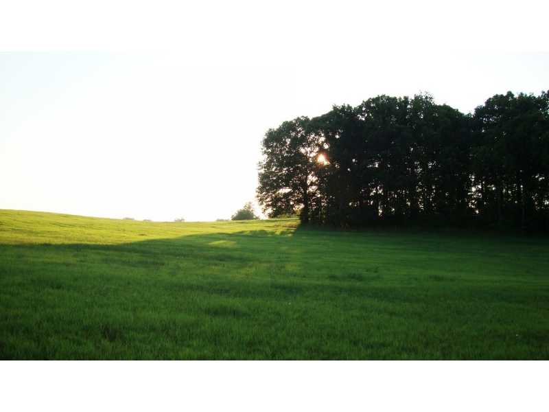 1539 Bear Creek Lot 2 Road