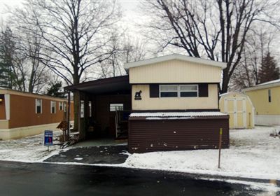11 Estelle Dr.
