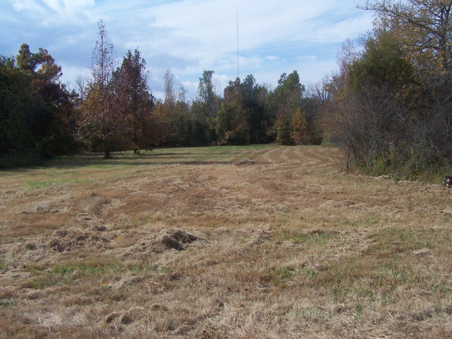 000 Greene 7615 Road