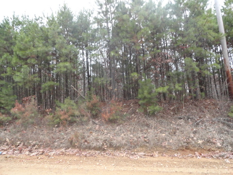 000 GREENE 611 ROAD