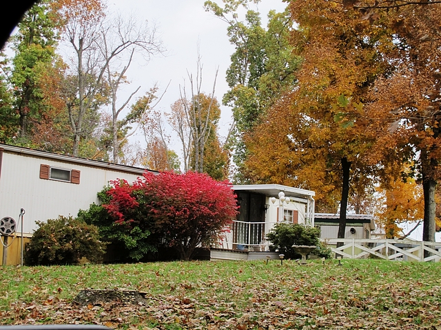 204 SPRINGS ESTATE DR