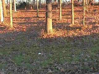 LOT#38 NORTHPARK 1
