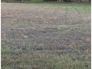 LOT #47 NORTH PARK II