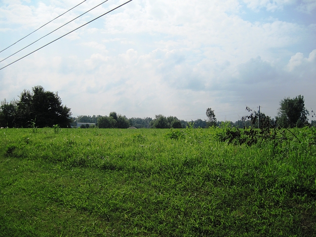 00 CHESTNUT LOT 12