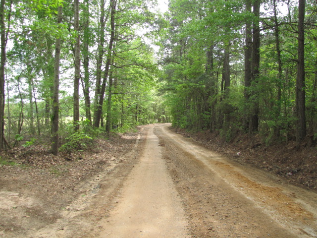 Red Cut Hill Tract 2