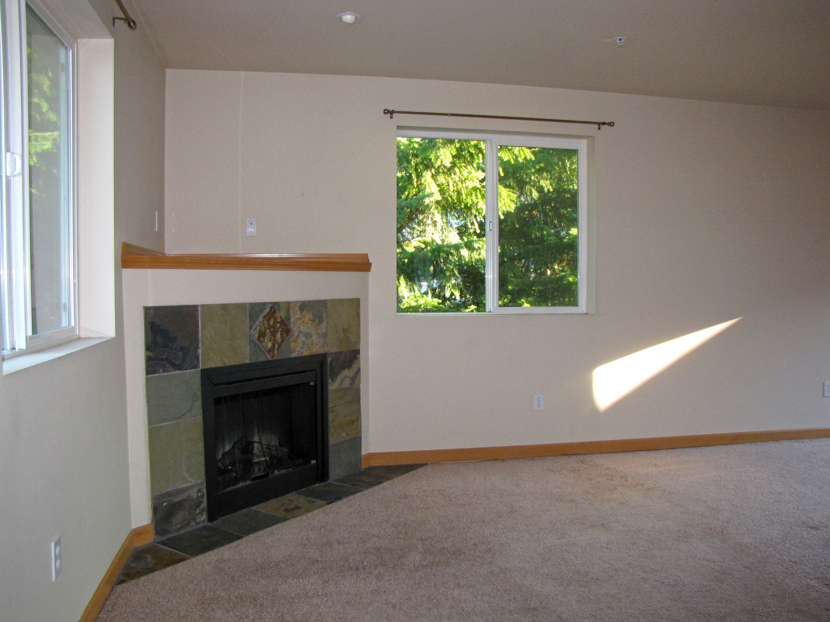 7220 Rainier Drive Unit 111