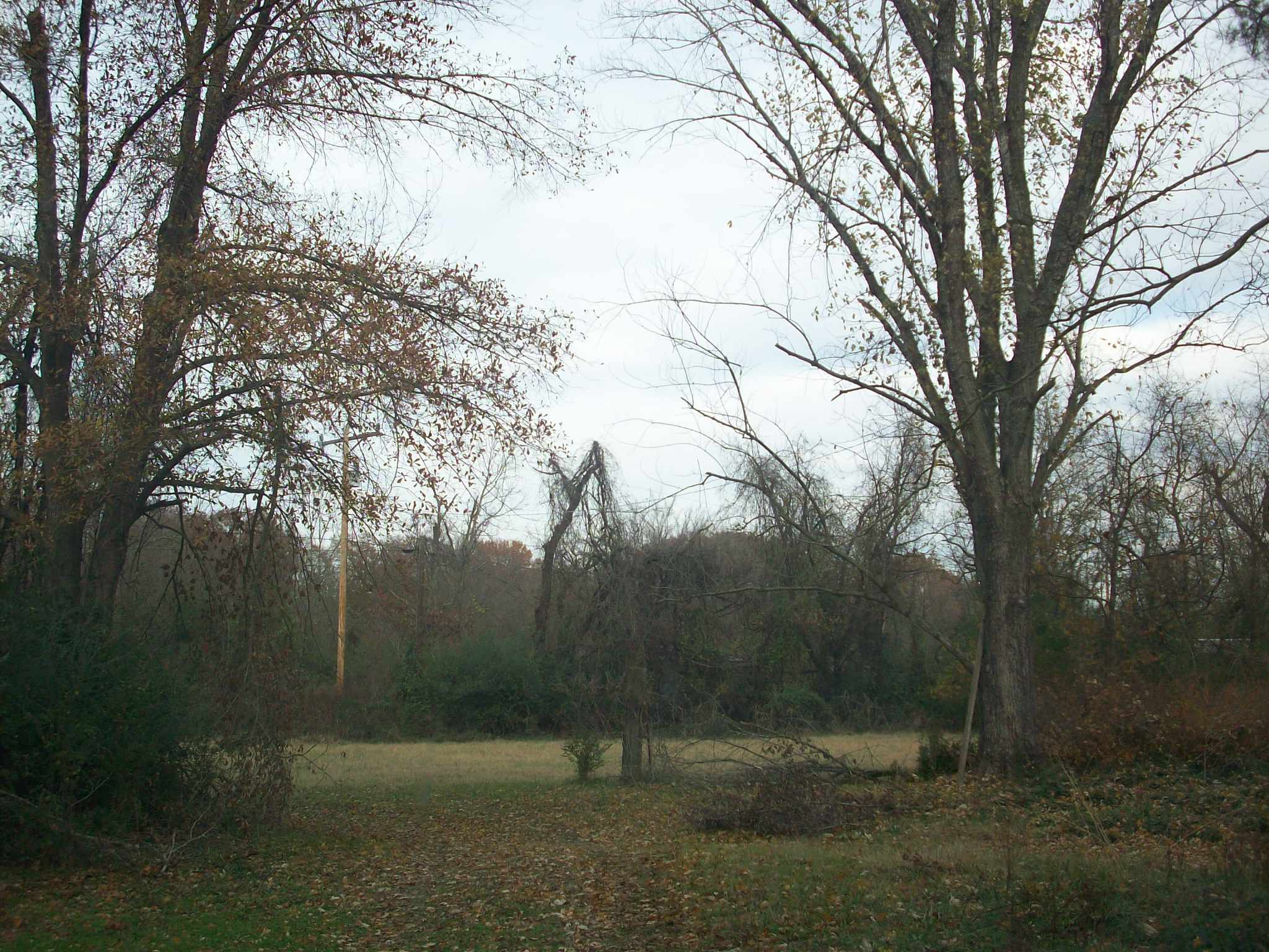 153 Duff Lane