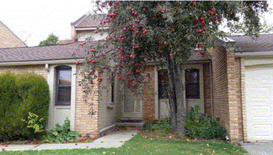2903 Moon Lake Dr