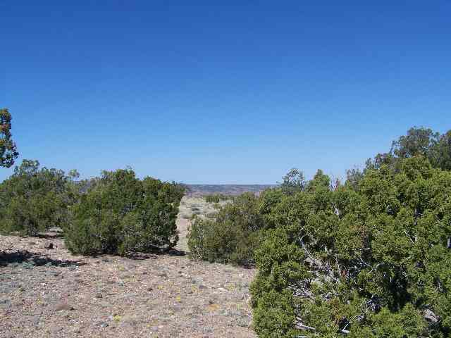 Lot 36 Indian Drive