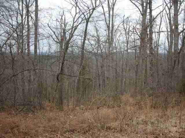 Lot 303 Baypoint Drive Dr
