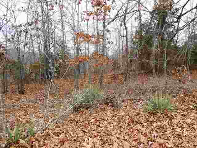 Lts 36,38, County Road 295