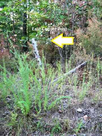 County Road 1193