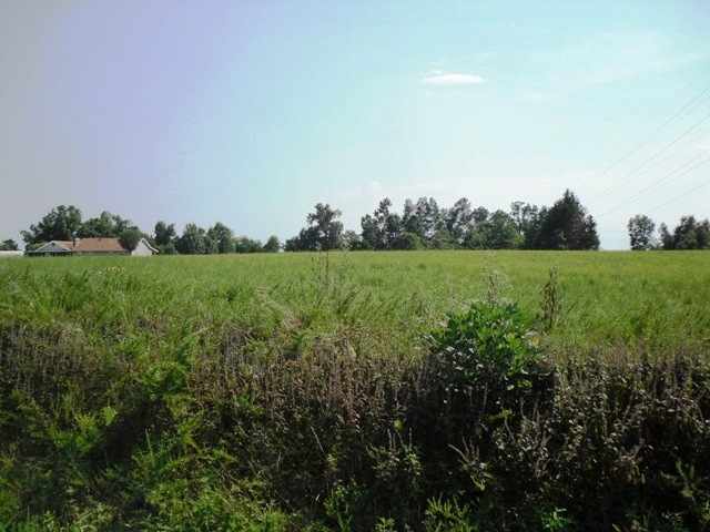 Marion County 7001