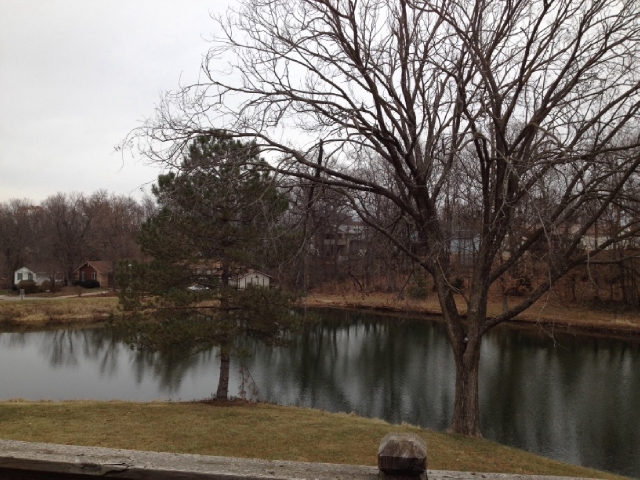 618 Country Lake Dr