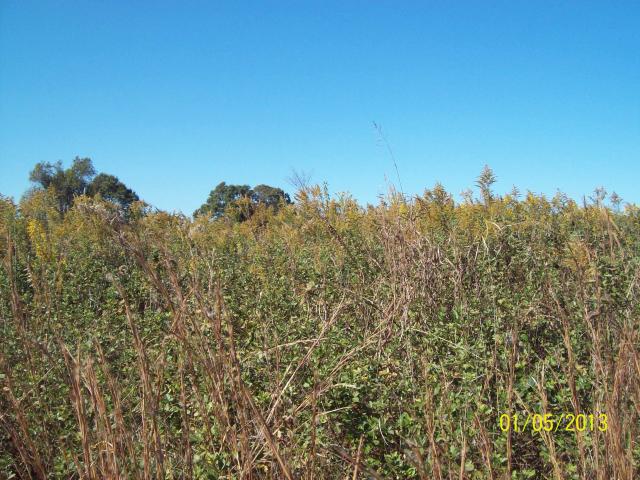 0 co rd 796,
