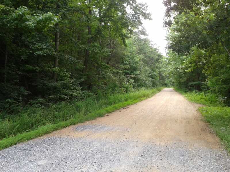 395 Treat Mtn Road