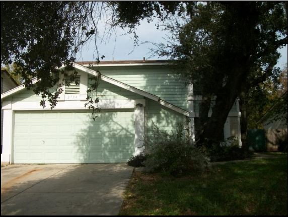 2734 Johnson Grass