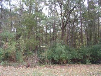 8606 Scottish Troon Ct.