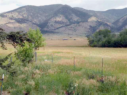 350 Bridger Lodge Trail