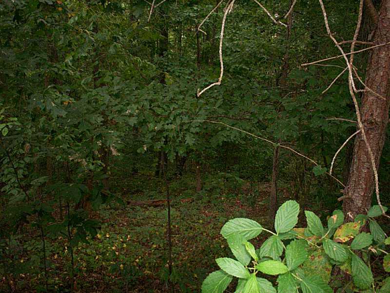 360 River Overlook Road