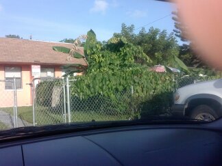 1430 NW 8TH AVE