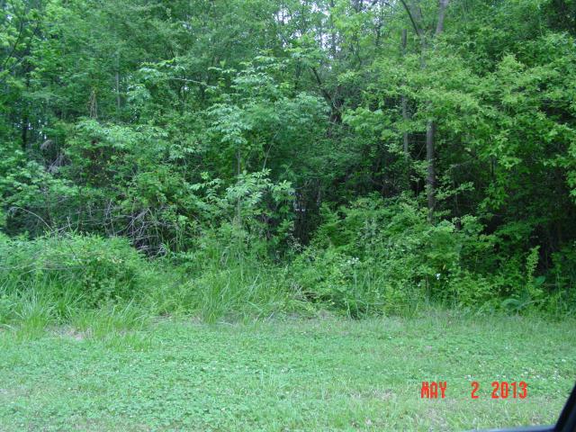 84 Cheaha Crossing #25