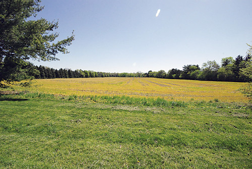 000 Pine Meadows